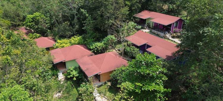 温妮卡阿特拉酒店(Winíka Alterra)图片