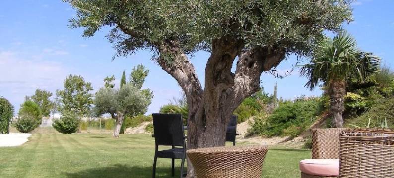 马斯戈雅克酒店(Le Mas de Gaujac)图片