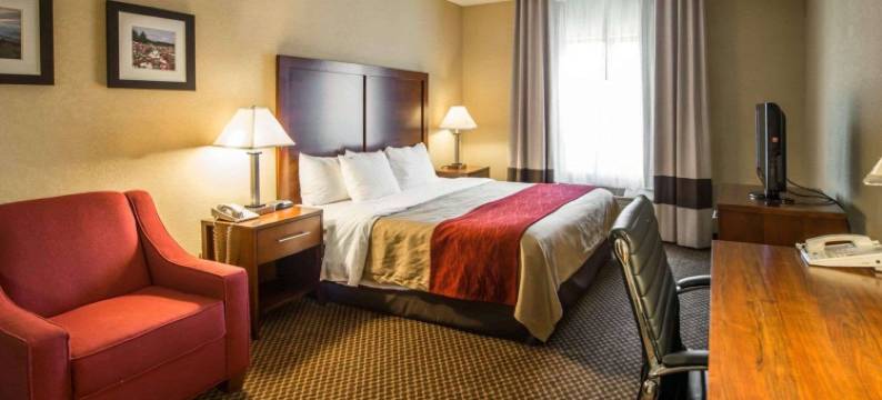 摩根顿舒适套房酒店(Comfort Inn & Suites)图片