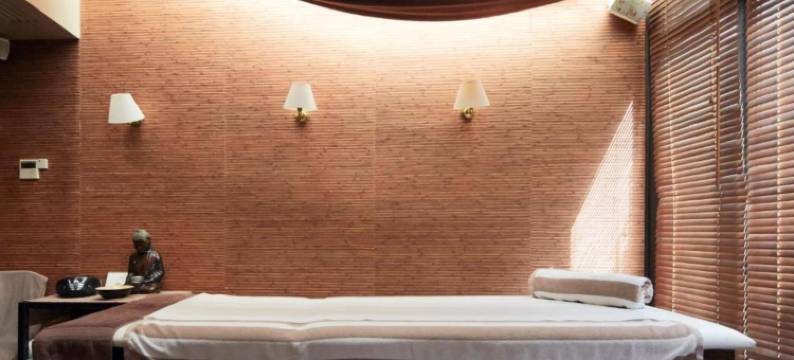 欧洲SPA酒店(Hôtel Europe and Spa)图片