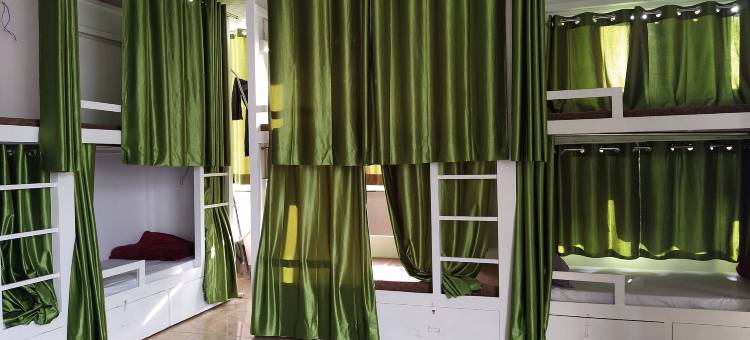 拉贾宫酒店(Hotel the Raja Palace)图片