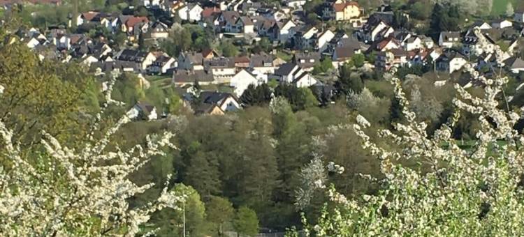 米特莱因豪斯酒店(Haus Mittelrhein)图片