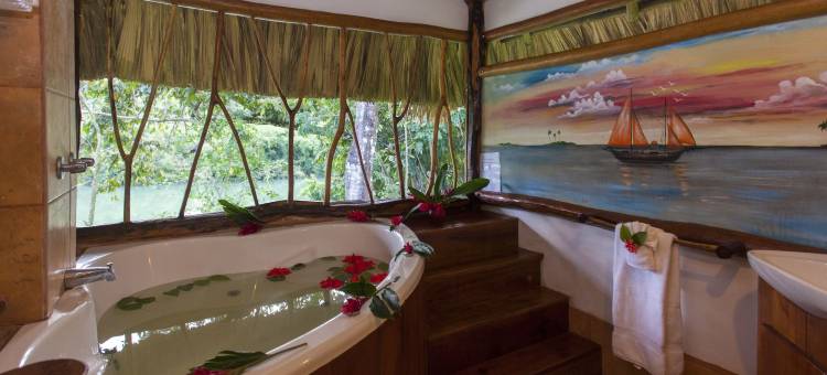 棉花树旅馆(Cotton Tree Lodge)图片