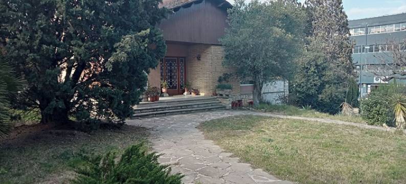 卡尔金(Cal Kim)图片