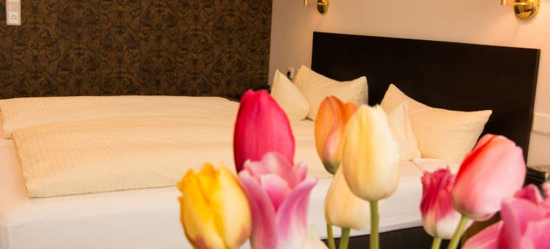 钢尼酒店和度假公寓Seeschlößchen(Garni Hotel & Ferienwohnungen Seeschlößchen)图片