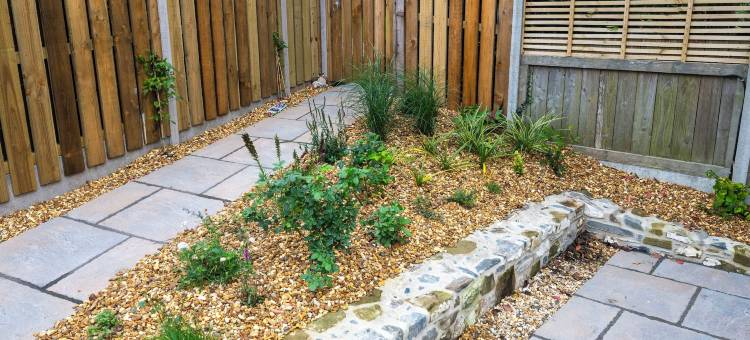 蕨类小屋酒店(Fern Cottage)图片