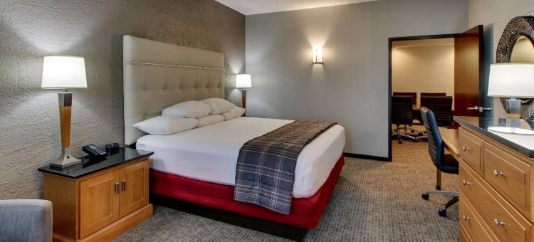 凤凰城欢乐谷德鲁里套房酒店(Drury Inn & Suites Phoenix Happy Valley)图片