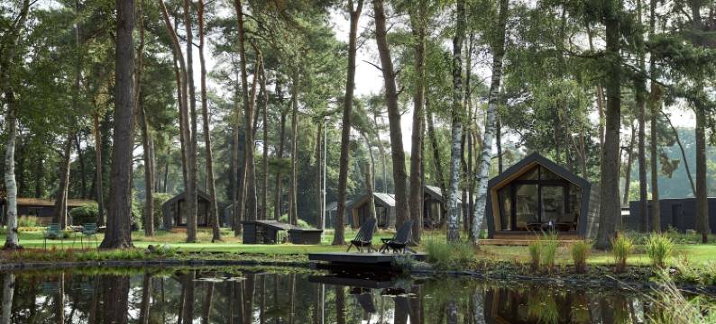 坎皮纳斯塔特(Kampina Staete)图片