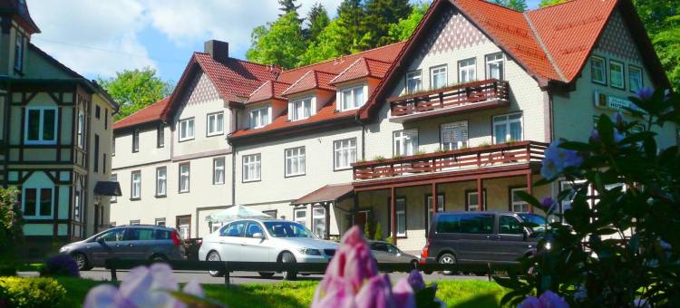 弗里德里希罗达沃尔德酒店(Waldhotel Friedrichroda)图片