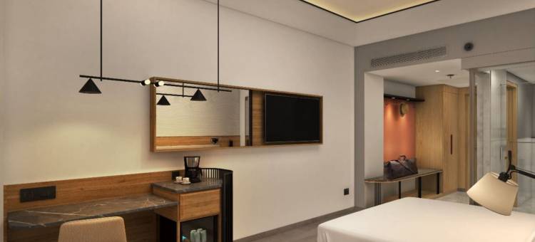 萨罗瓦尔波提科比尔根杰尼泊尔(Sarovar Portico Birgunj Nepal)图片