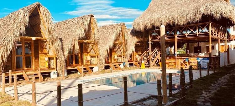 帕洛米诺日出(Palomino Sunrise)图片