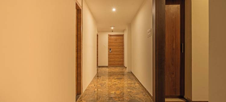 Treebo 七橄榄(Treebo Seven Olives)图片