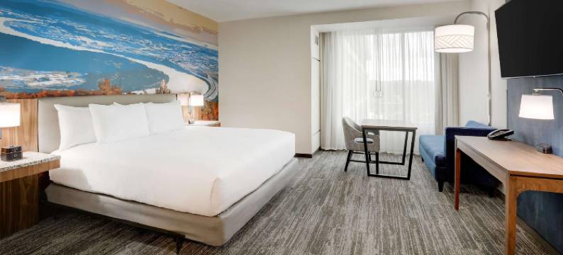 德鲁里广场酒店查塔努加汉密尔顿地方(Drury Plaza Hotel Chattanooga Hamilton Place)图片