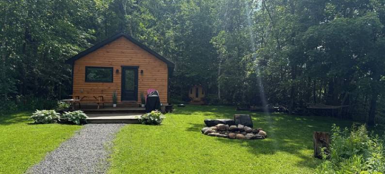 Bala Vida Cottage Steps to Lake Muskoka with Fire Pit & New Cedar Barrel Sauna图片