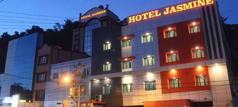 优思明酒店(Hotel Yasmin)图片