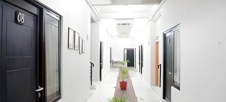 Dparagon 德维科拉(Dparagon Dwikora)图片