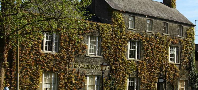 阿瓦隆之家酒店(Avalon House Hotel)图片
