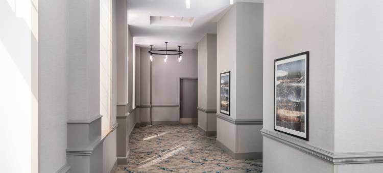 夏洛特希尔顿花园酒店(Hilton Garden Inn Charlotte-Uptown)图片