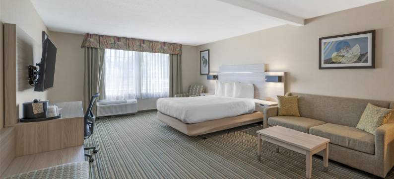 双景贝斯特韦斯特优质套房酒店(Best Western Plus Twin View Inn  Suites)图片