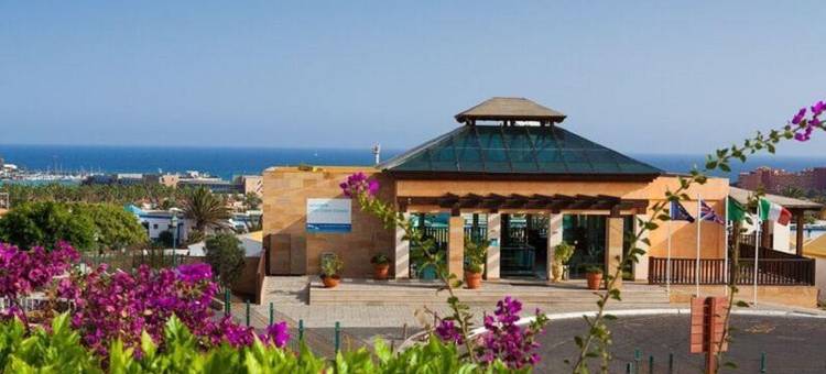 卡勒塔多拉达VIP别墅(VIP Villas - Caleta Dorada)图片