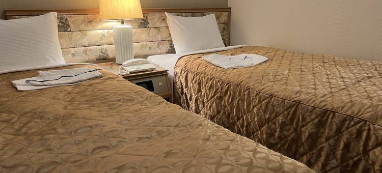 鹿岛常春藤酒店(Kashima Ivy Hotel)图片