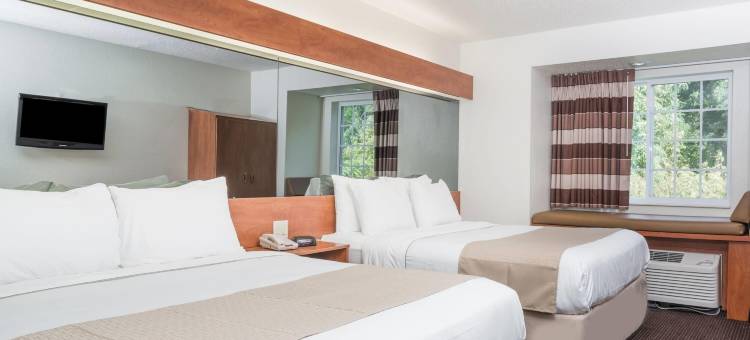 温德姆赖斯湖畔麦客达酒店(Microtel Inn & Suites by Wyndham Rice Lake)图片