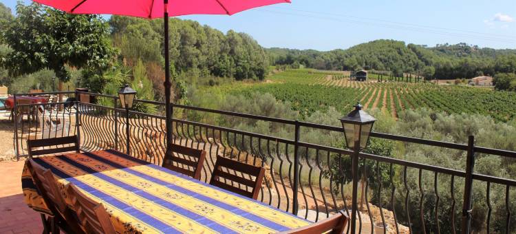 普罗旺斯别墅配有游泳池及葡萄园景观(Villa in Provence with Pool and Vineyard Views)图片