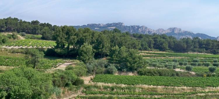 Villa in Valréas with Pool and Garden Views图片