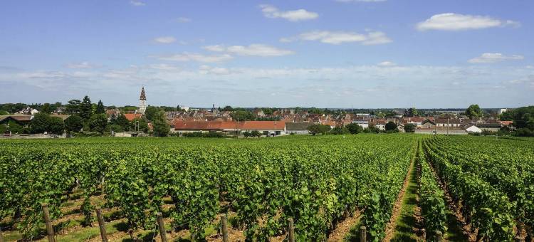 尼伊特圣若尔热宜必思快捷酒店(Ibis Budget Nuits Saint Georges)图片