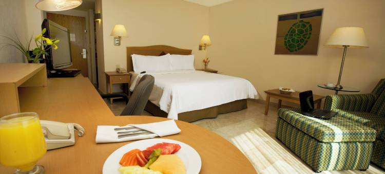 卡门城嘉年华旅馆(Fiesta Inn Ciudad del Carmen)图片