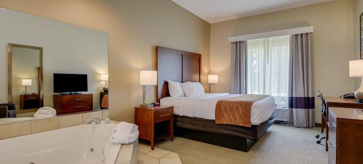 奥古斯塔艾森豪威尔高速公路舒适套房酒店(Comfort Inn & Suites Augusta Fort Eisenhower Area)图片