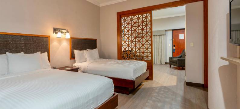 温德姆花园酒店-新奥尔良巴罗纳广场(Wyndham Garden Baronne Plaza New Orleans)图片