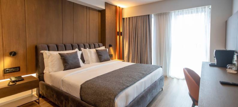 由Meliá附属的廷拉那埃丽莎酒店(Hotel Elisa Tirana, Affiliated by Meliá)图片