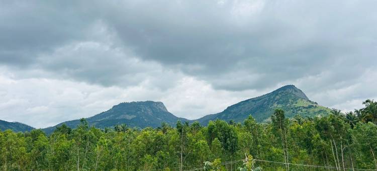 回声隐居处(Echoes Retreat)图片