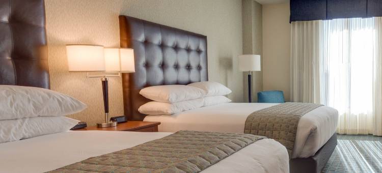 盖恩斯维尔德鲁里套房酒店(Drury Inn & Suites Gainesville)图片