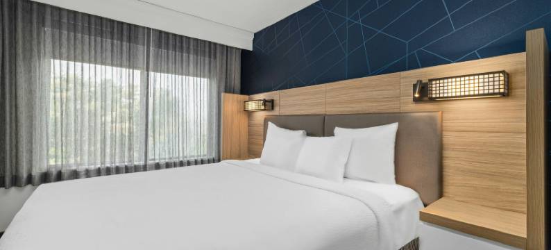 西明尼阿波利斯/圣路易斯帕克万豪SpringHill酒店(SpringHill Suites Minneapolis West/St. Louis Park)图片