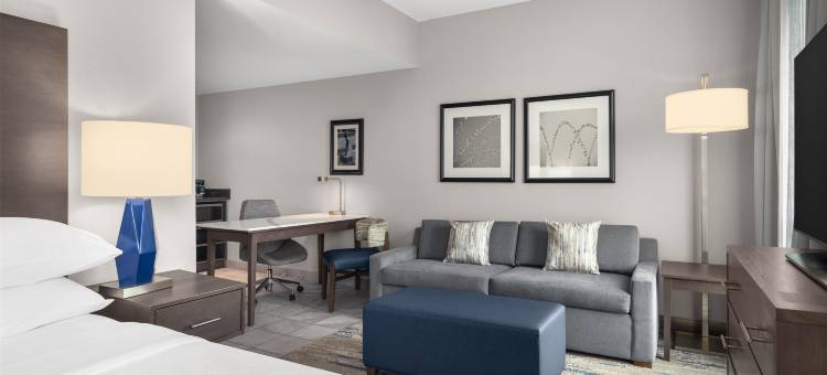 洛特爱斯丽希尔顿安泊酒店(Embassy Suites by Hilton Charlotte Ayrsley)图片