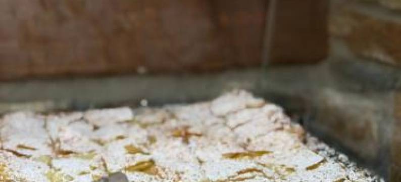 艾弗辛酒店(Evzin Hotel)图片