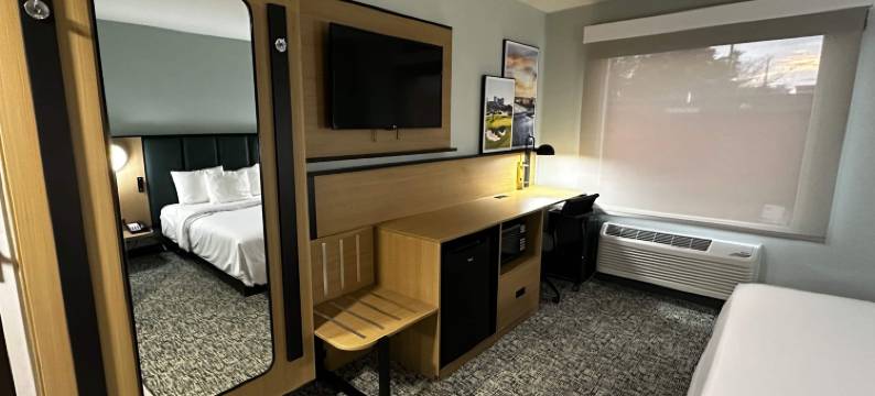 蔚景温德姆默特尔海滩奥特莱斯酒店(Wingate by Wyndham Myrtle Beach at Outlets)图片