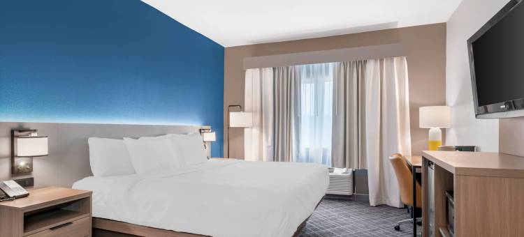 舒适套房酒店(Comfort Inn & Suites)图片