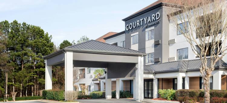 亚特兰大萨沃尼万怡酒店(Courtyard Atlanta Suwanee)图片
