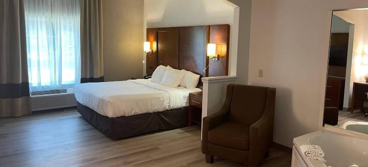 索尔兹伯里I-85舒适套房酒店(Comfort Suites Salisbury I-85)图片