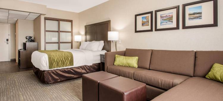 红鹿舒适套房酒店(Comfort Inn & Suites)图片