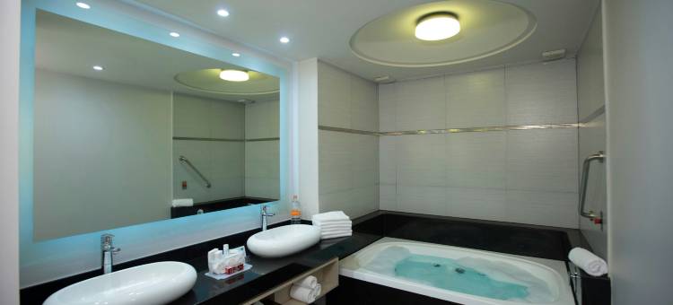 墨西哥 - 托雷奥智选假日酒店(Holiday Inn Express MEXICO CITY - TOREO by IHG)图片