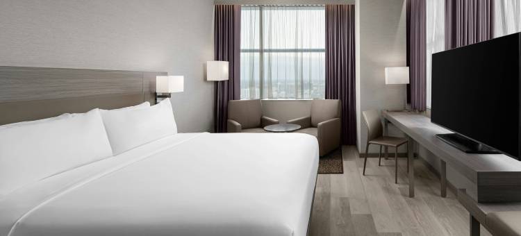 奥兰多市区万豪AC酒店(AC Hotel Orlando Downtown)图片