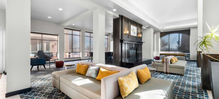 阿马里洛希尔顿花园旅馆(Hilton Garden Inn Amarillo)图片