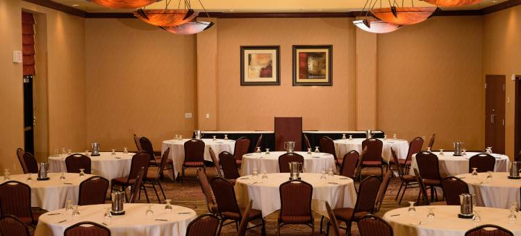 明尼阿波利斯北希尔顿安泊酒店(Embassy Suites by Hilton Minneapolis North)图片