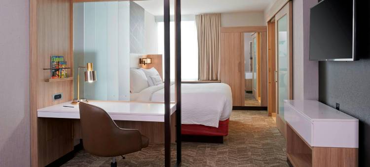 东兰辛大学区SpringHill Suites酒店(SpringHill Suites East Lansing University Area)图片
