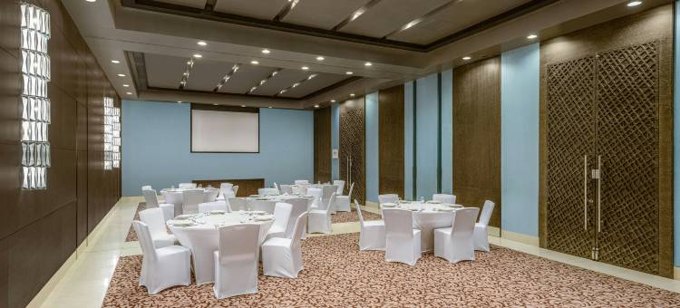 福朋喜来登-艾因(Four Points by Sheraton Al Ain)图片