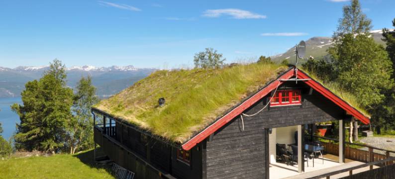 Utsikten (Fjs300)图片